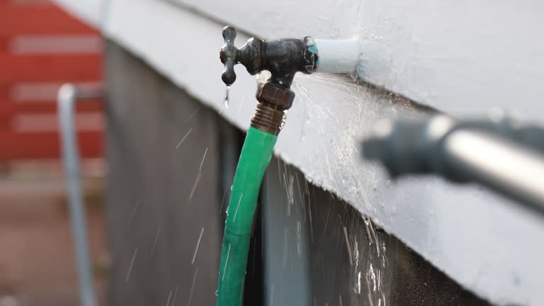 Best Property Management Cleanouts  in West Monroe, MI